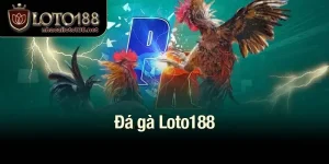Đá gà Loto188