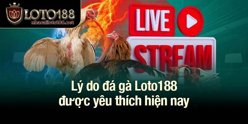 Lý do đá gà Loto188 được yêu thích hiện nay