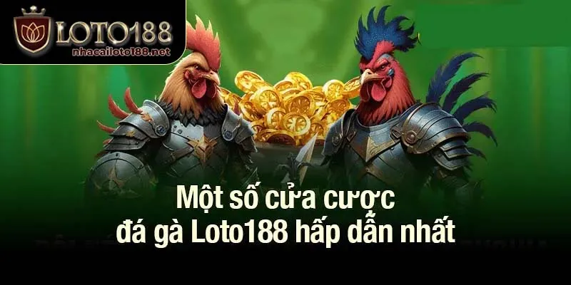 Một số cửa cược đá gà Loto188 hấp dẫn nhất