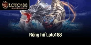Rồng hổ Loto188
