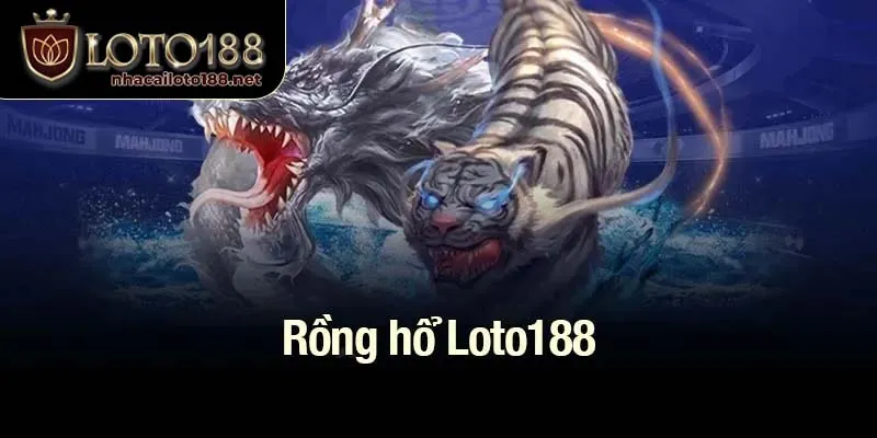Rồng hổ Loto188