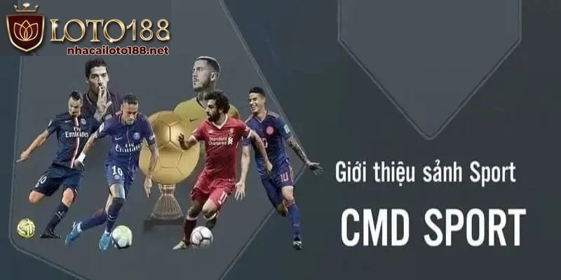 Đánh giá tổng quan về sảnh cá độ thể thao CMD